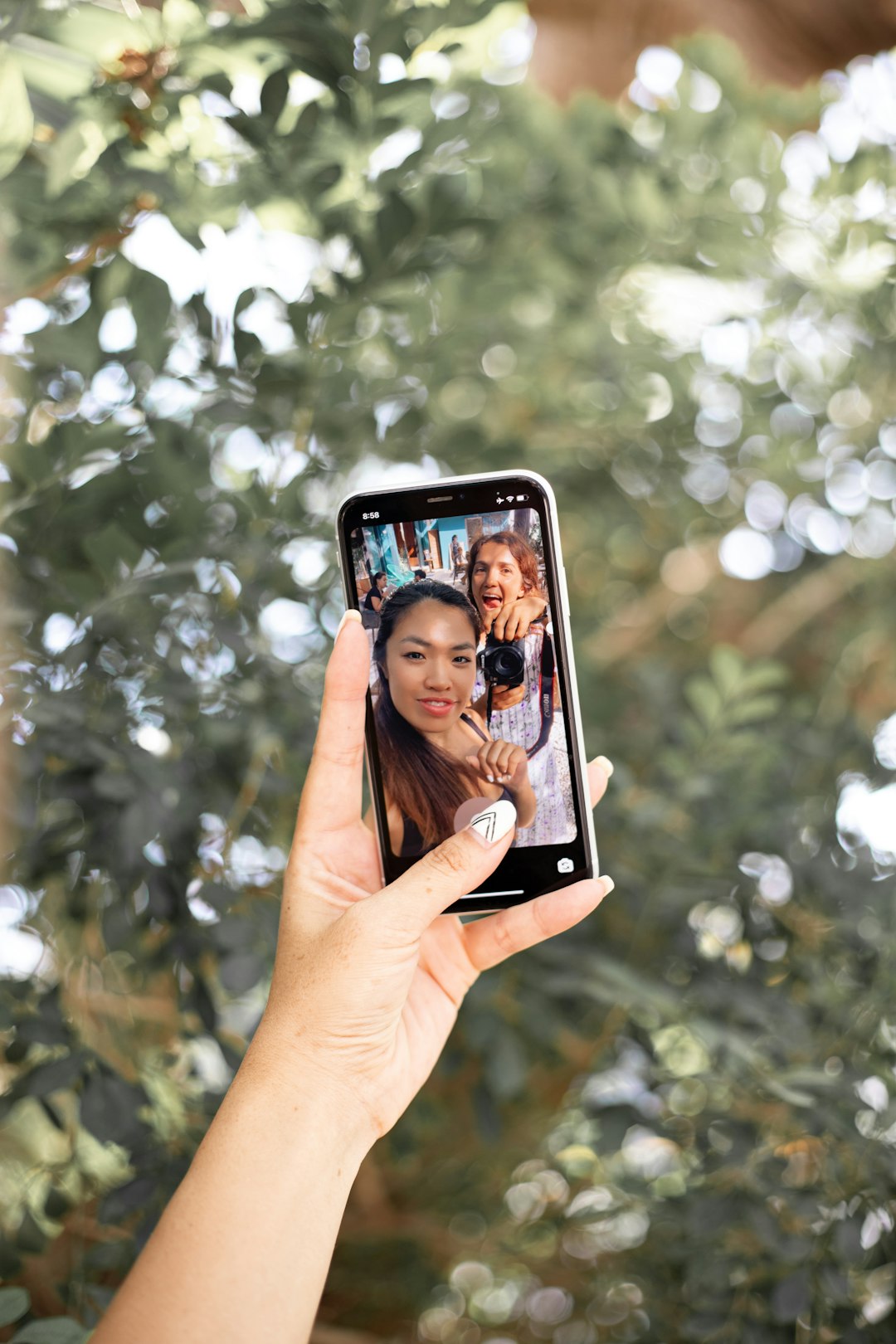 Instagram Profile, Bio, Grid, Reels, Stories, Live